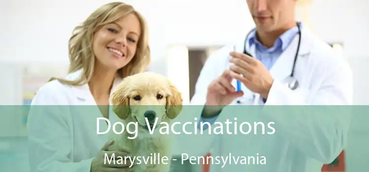 Dog Vaccinations Marysville - Pennsylvania