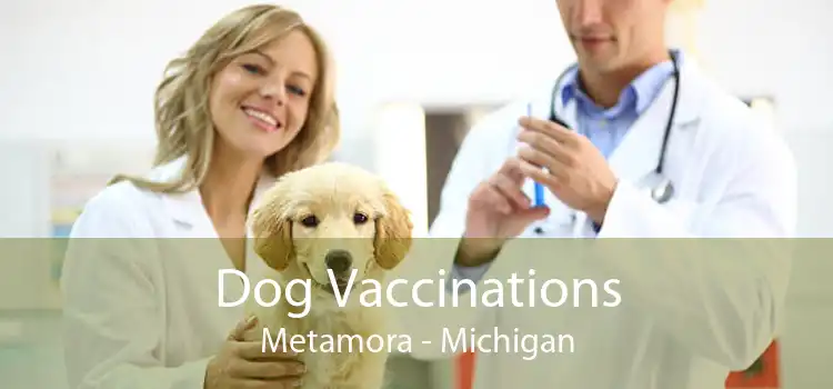 Dog Vaccinations Metamora - Michigan