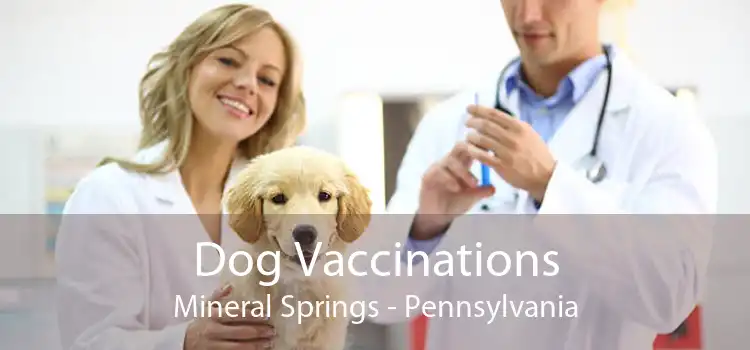 Dog Vaccinations Mineral Springs - Pennsylvania