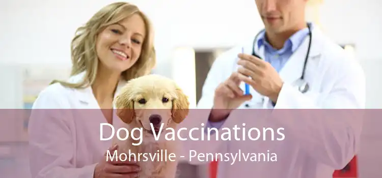 Dog Vaccinations Mohrsville - Pennsylvania