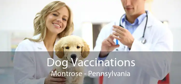 Dog Vaccinations Montrose - Pennsylvania