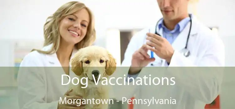 Dog Vaccinations Morgantown - Pennsylvania