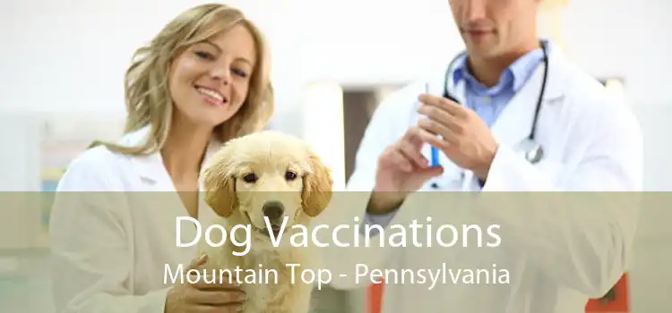 Dog Vaccinations Mountain Top - Pennsylvania