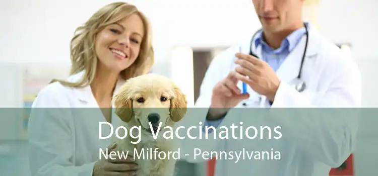 Dog Vaccinations New Milford - Pennsylvania
