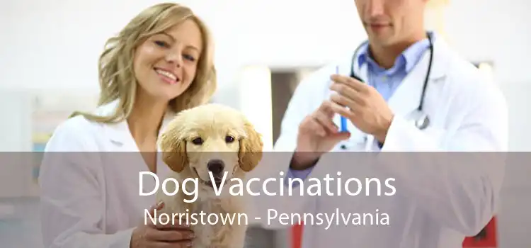 Dog Vaccinations Norristown - Pennsylvania