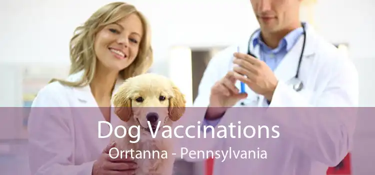 Dog Vaccinations Orrtanna - Pennsylvania