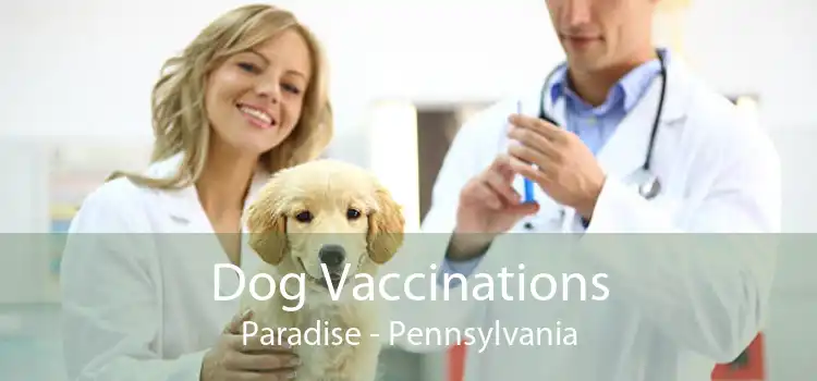 Dog Vaccinations Paradise - Pennsylvania