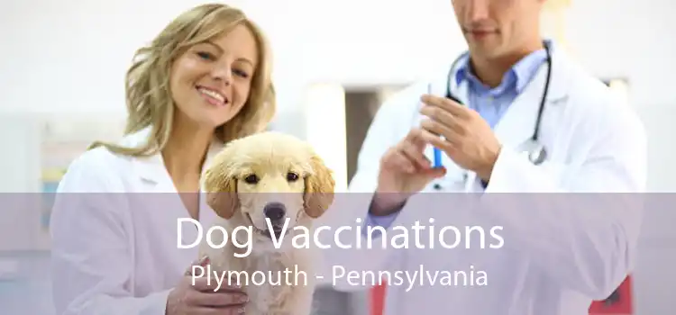 Dog Vaccinations Plymouth - Pennsylvania