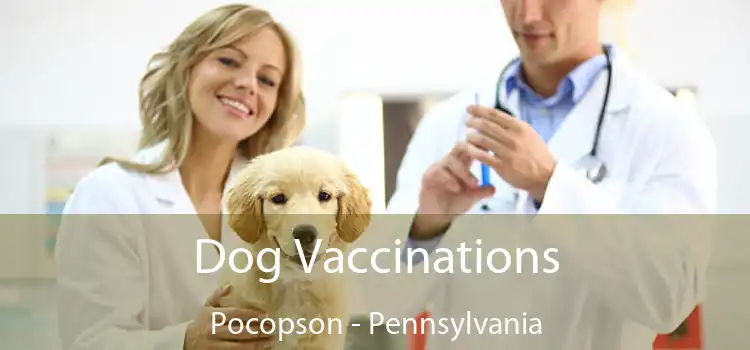 Dog Vaccinations Pocopson - Pennsylvania
