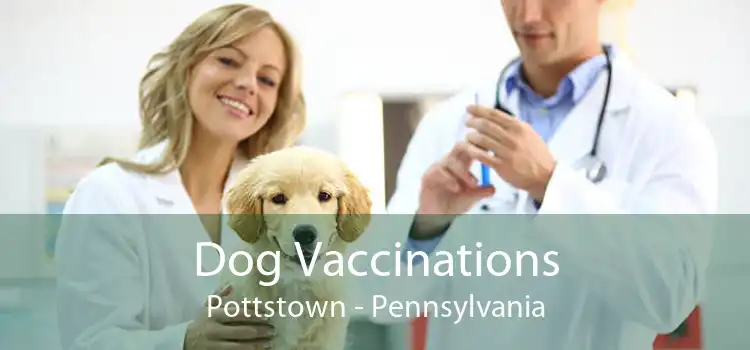 Dog Vaccinations Pottstown - Pennsylvania