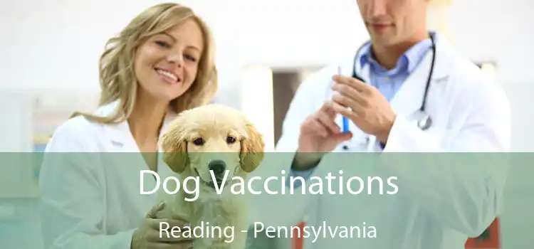 Dog Vaccinations Reading - Pennsylvania