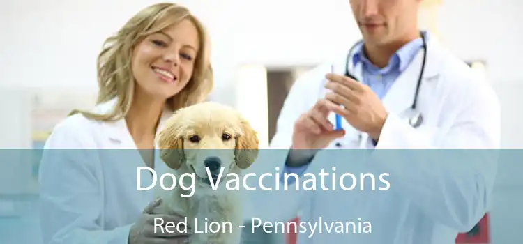 Dog Vaccinations Red Lion - Pennsylvania