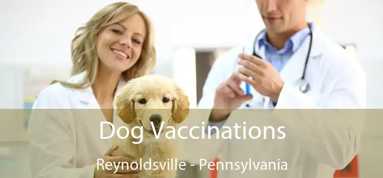 Dog Vaccinations Reynoldsville - Pennsylvania