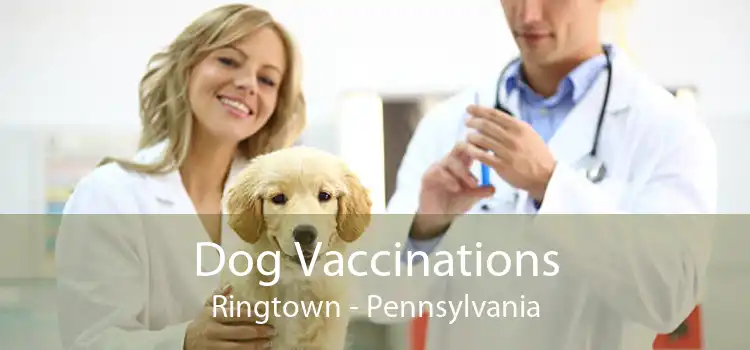 Dog Vaccinations Ringtown - Pennsylvania