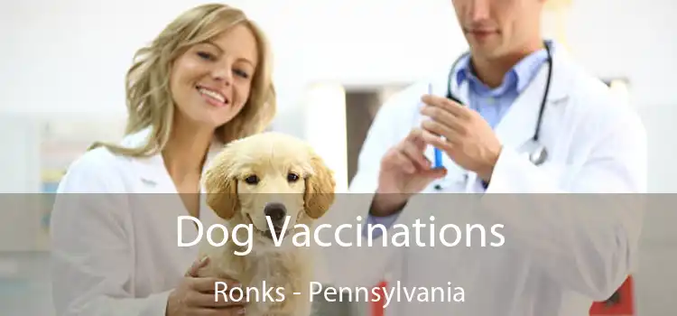 Dog Vaccinations Ronks - Pennsylvania