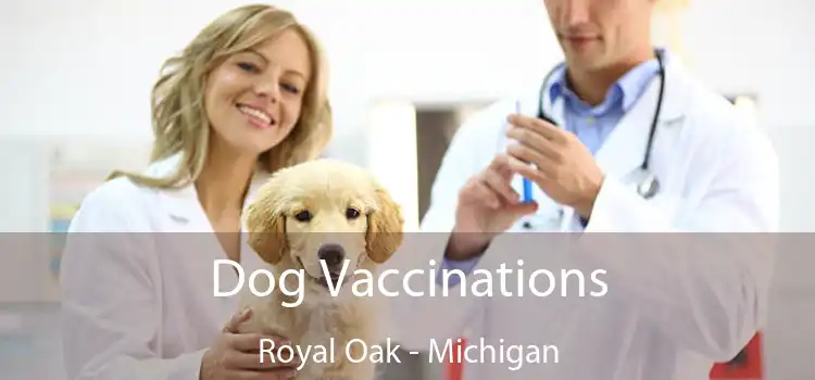 Dog Vaccinations Royal Oak - Michigan
