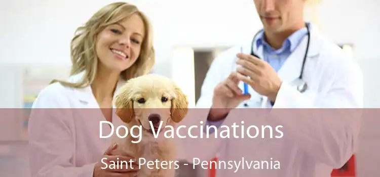 Dog Vaccinations Saint Peters - Pennsylvania