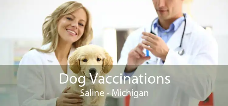 Dog Vaccinations Saline - Michigan