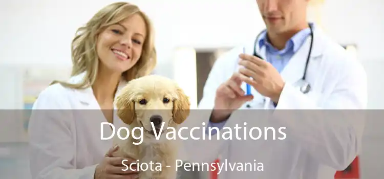 Dog Vaccinations Sciota - Pennsylvania