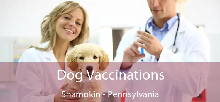 Dog Vaccinations Shamokin - Pennsylvania