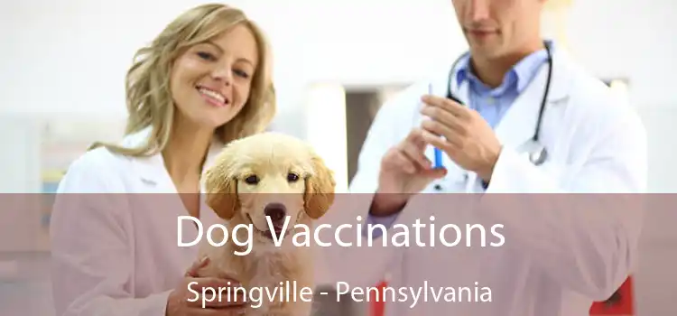 Dog Vaccinations Springville - Pennsylvania