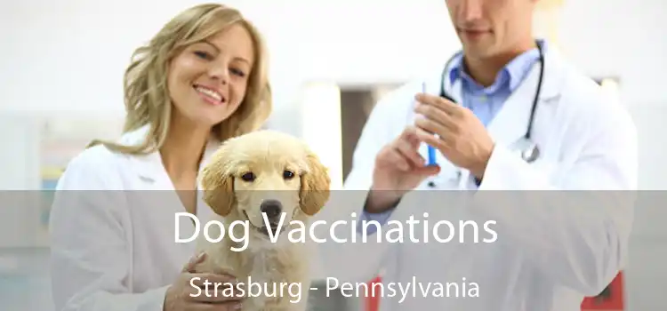 Dog Vaccinations Strasburg - Pennsylvania