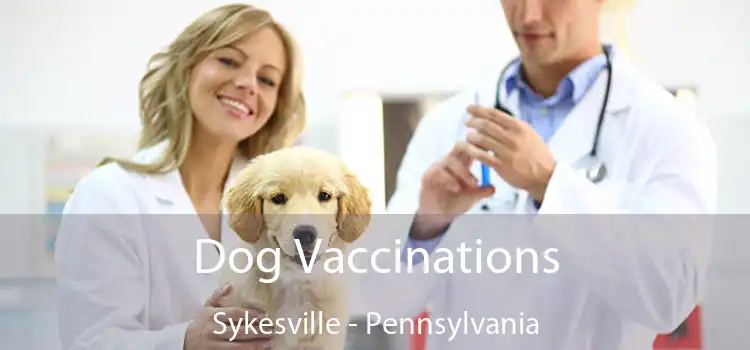Dog Vaccinations Sykesville - Pennsylvania