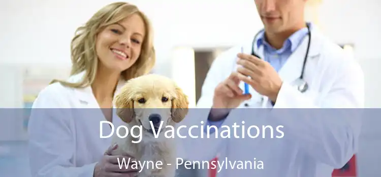 Dog Vaccinations Wayne - Pennsylvania