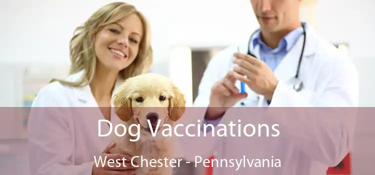 Dog Vaccinations West Chester - Pennsylvania