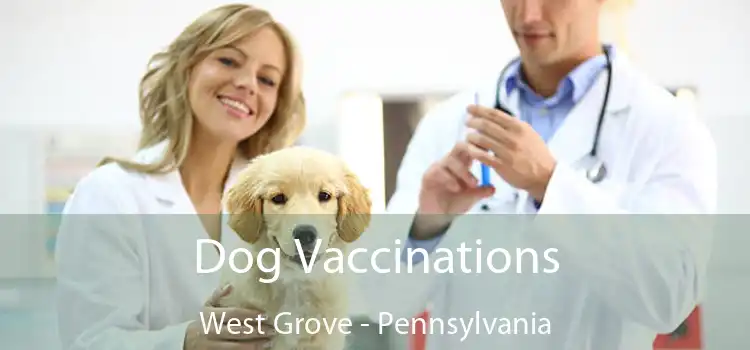 Dog Vaccinations West Grove - Pennsylvania