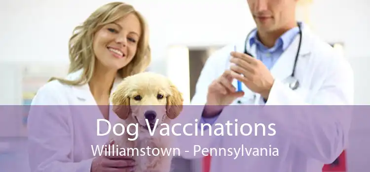 Dog Vaccinations Williamstown - Pennsylvania