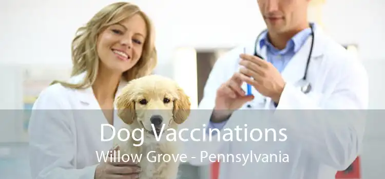 Dog Vaccinations Willow Grove - Pennsylvania