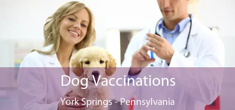 Dog Vaccinations York Springs - Pennsylvania