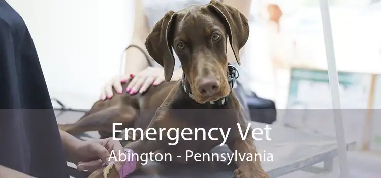 Emergency Vet Abington - Pennsylvania