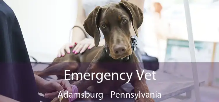 Emergency Vet Adamsburg - Pennsylvania