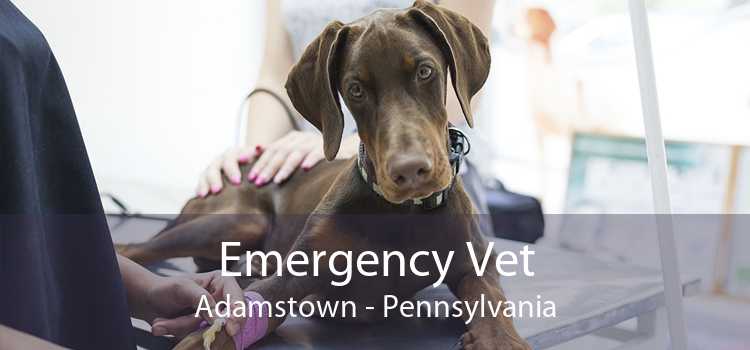 Emergency Vet Adamstown - Pennsylvania