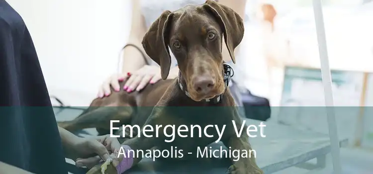 Emergency Vet Annapolis - Michigan