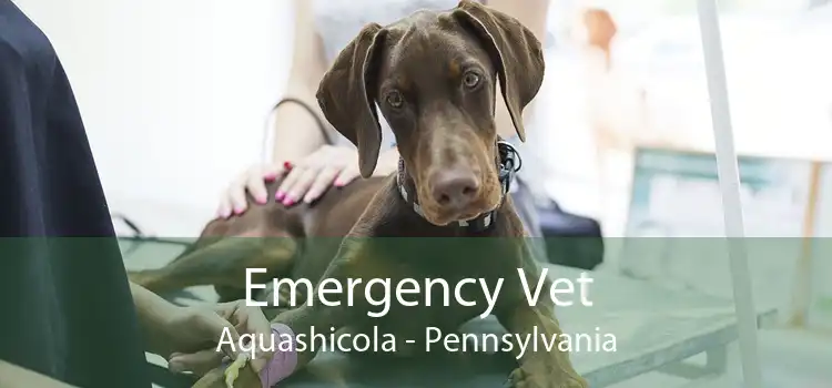 Emergency Vet Aquashicola - Pennsylvania