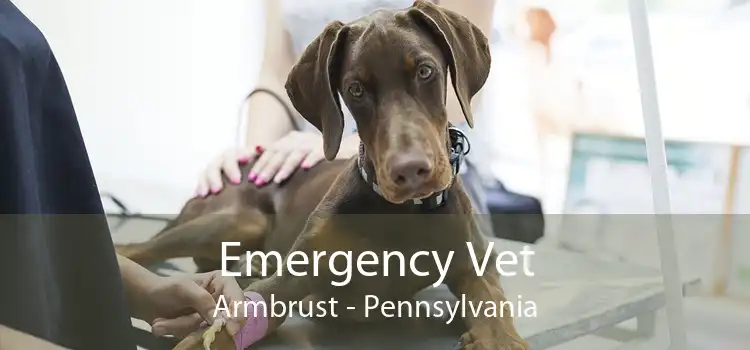Emergency Vet Armbrust - Pennsylvania