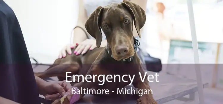 Emergency Vet Baltimore - Michigan