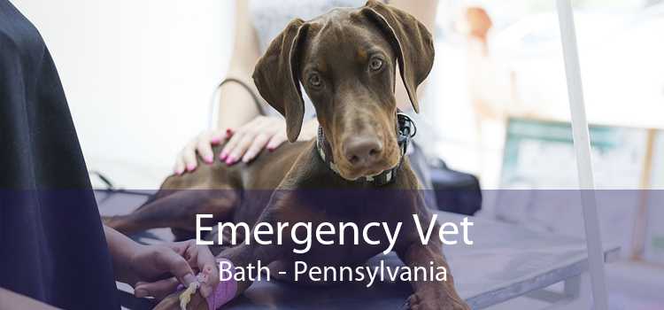 Emergency Vet Bath - Pennsylvania