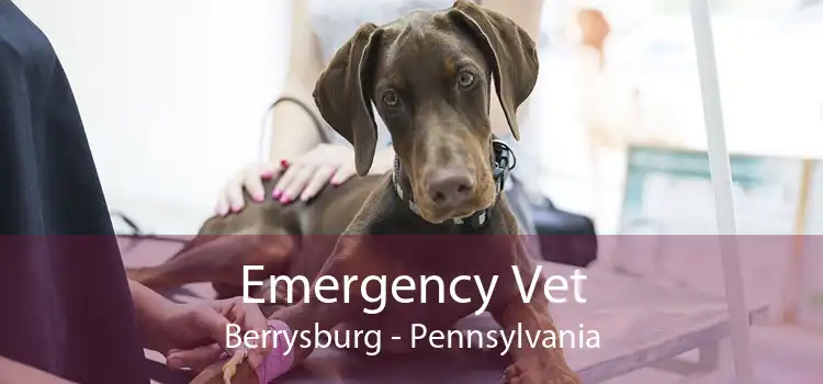 Emergency Vet Berrysburg - Pennsylvania