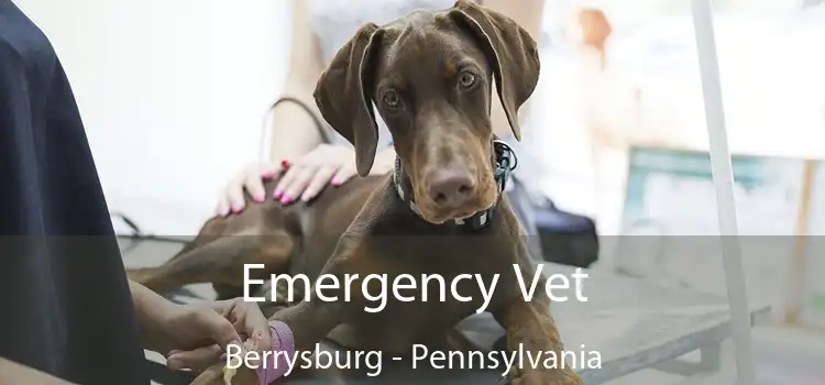 Emergency Vet Berrysburg - Pennsylvania