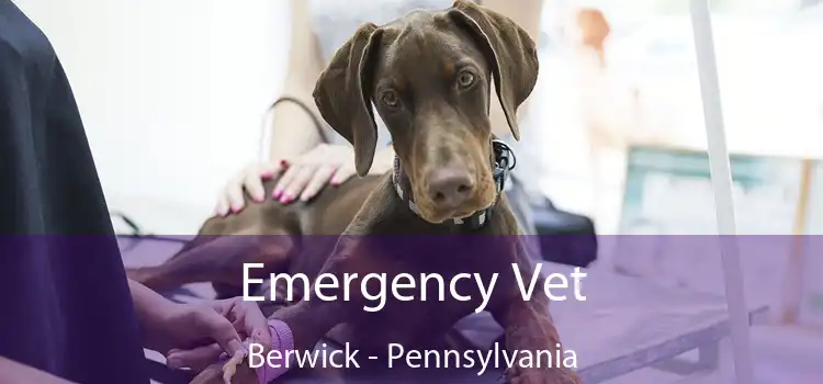 Emergency Vet Berwick - Pennsylvania