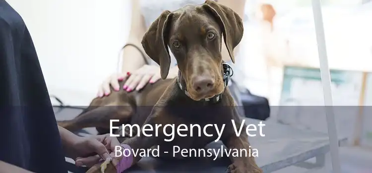 Emergency Vet Bovard - Pennsylvania