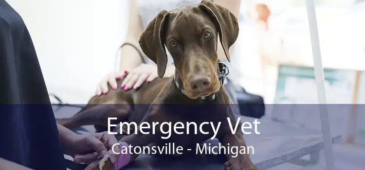 Emergency Vet Catonsville - Michigan