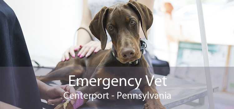 Emergency Vet Centerport - Pennsylvania