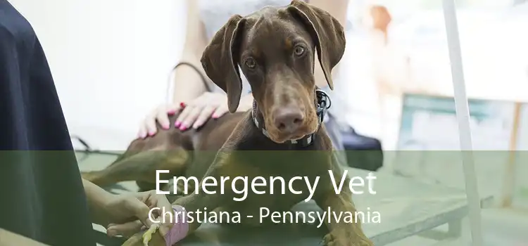 Emergency Vet Christiana - Pennsylvania