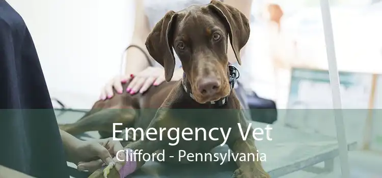 Emergency Vet Clifford - Pennsylvania