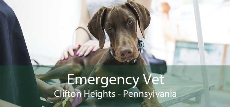 Emergency Vet Clifton Heights - Pennsylvania